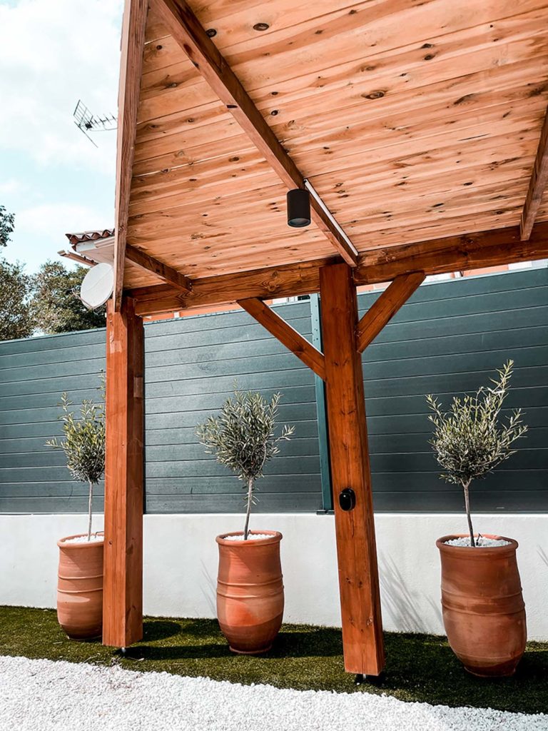 Jarres hautes en terre cuite pour petit arbre - Décoration