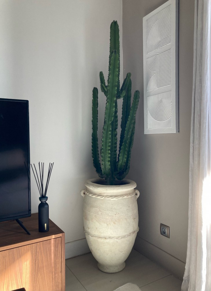 Jarre d'intérieur - décoration - plante (grand cactus)